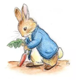 屬兔人:2019年一定要這麼做,年底最少賺百萬,誰家有屬兔的,刻不容緩,趕緊通知他
