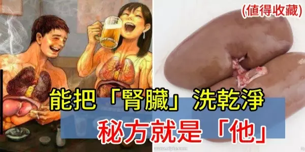能把「腎臟」洗乾淨的的秘方就是「他」了!癌症的免死金牌!