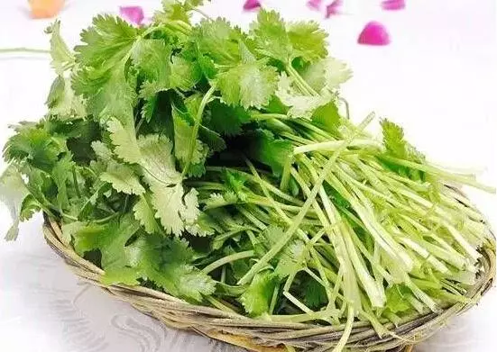 能把「腎臟」洗乾淨的的秘方就是「他」了!癌症的免死金牌!