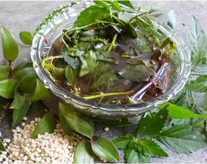 腎臟的救星!只需「水龜草」和「薏米」一起煲來喝,效果超好!...