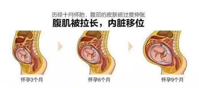 懷孕以後媽媽的內臟被擠到哪裡去了?看完我不禁落淚了,心疼媽媽