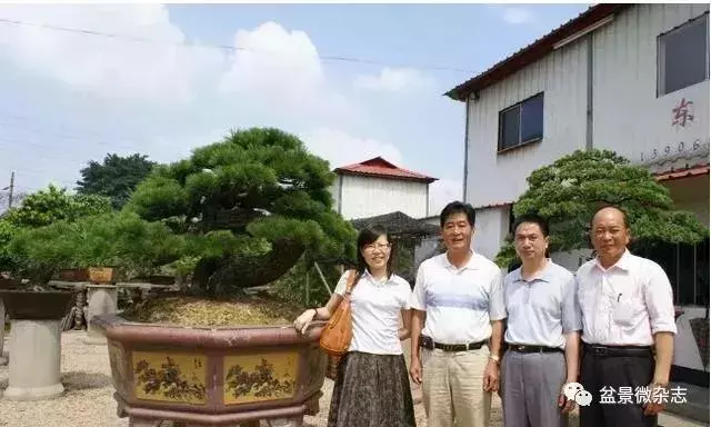 已知最貴的10棵盆景,土豪的世界你不懂!