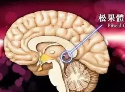 千萬注意!睡覺時一個小習慣,可能讓你變胖甚至致癌!很多人都有這個毛病!