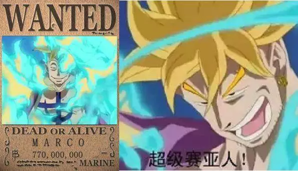 海賊王:賞金最低的皇副出現了,馬爾科笑了,卡二笑了,燼也笑了