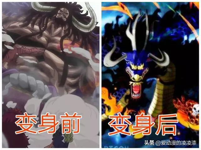 動物系能力者變身前後對比,喬巴形態最多,而他變身後實力超大將