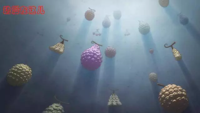 海賊王:疫災奎因惡魔果實猜測,可能是水陸兩棲的動物系能力者