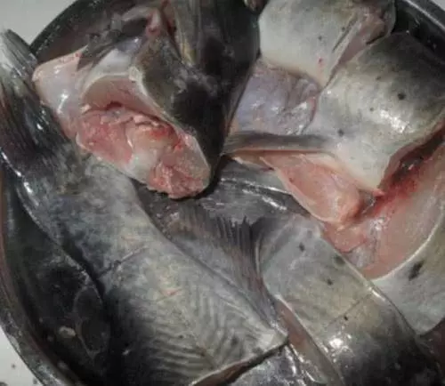 蒸魚時千萬別用鹽醃,用這招,保證魚肉沒腥味,還鮮嫩無比