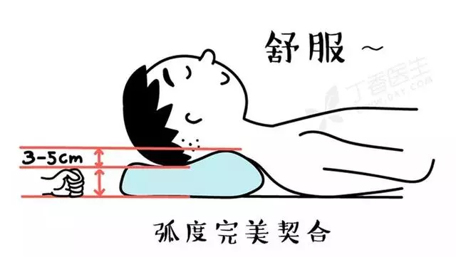 枕頭用錯傷頸椎,3 步教你選個好枕頭