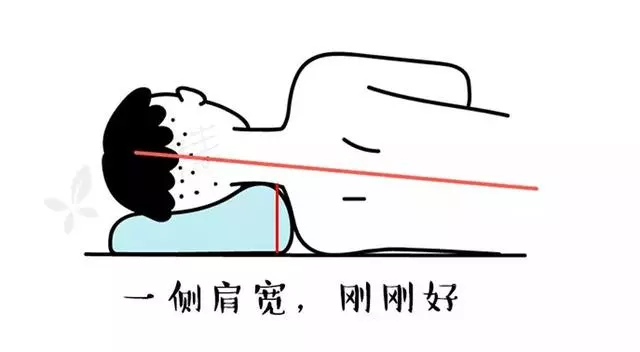 枕頭用錯傷頸椎,3 步教你選個好枕頭