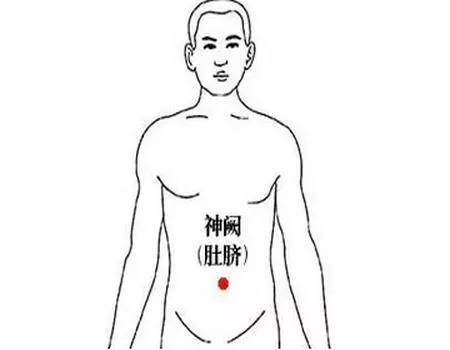 每天甩手5分鐘、把腰部肌肉打開,腰不酸痛,手腳暖和
