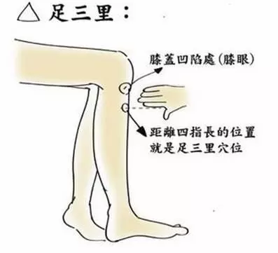 針灸和穴位的一些知道的知識希望能夠幫助到大家