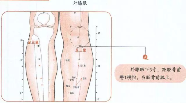 針灸和穴位的一些知道的知識希望能夠幫助到大家
