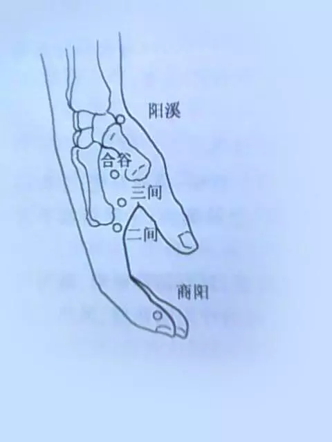 針灸和穴位的一些知道的知識希望能夠幫助到大家