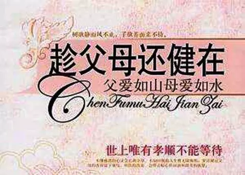 「當我老了,希望兒女不要嫌棄我」,多少父母的心聲