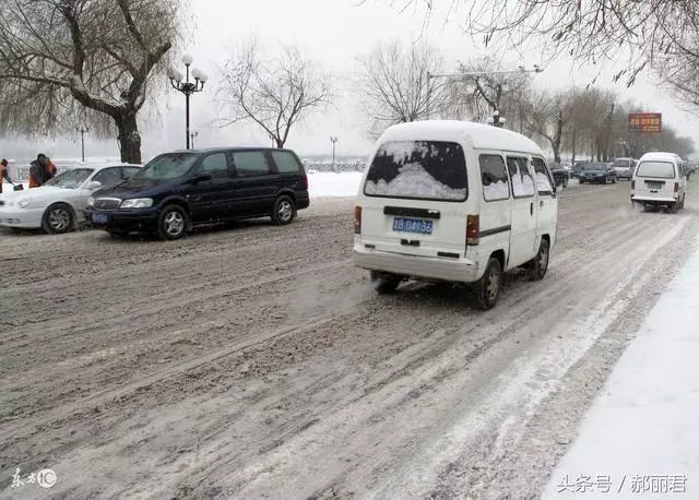 流浪貓凍僵雪地,含淚求助,他心軟救起,30分鐘後,才知救己一命