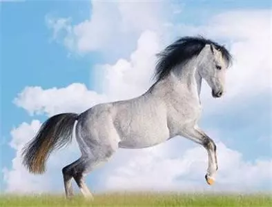 蘇民峰:這五個生肖的人,都是後半生最有錢的人,註定有錢花