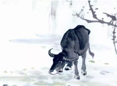 蘇民峰:這五個生肖的人,都是後半生最有錢的人,註定有錢花