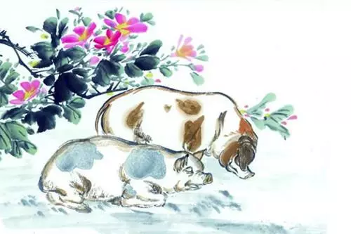 蘇民峰:這五個生肖的人,都是後半生最有錢的人,註定有錢花
