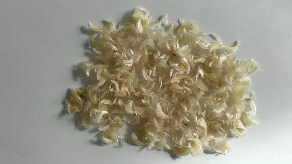 這位吸貓者有點厲害,收藏貓咪胡須和指甲14年,眾網友看傻了