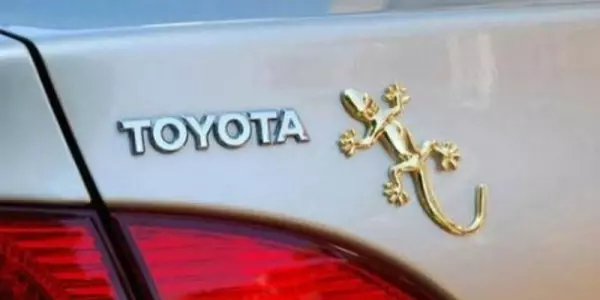車尾掛「壁虎」到底是什麼意思?聽老司機說完,後悔現在才知道!