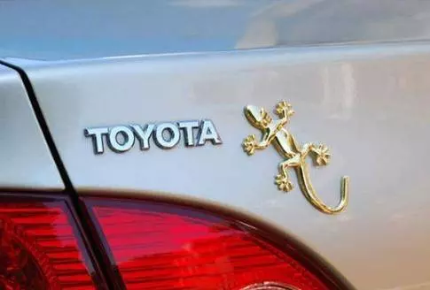 車尾掛「壁虎」到底是什麼意思?聽老司機說完,後悔現在才知道!
