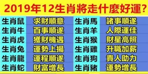 2019年,12生肖將走什麼好運?