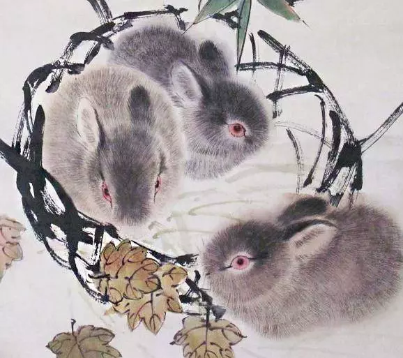 2019年,12生肖將走什麼好運?