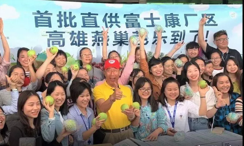 為高雄拚了!郭台銘超神1小時「賣600箱燕巢芭樂」 狂賺15萬「回饋給農民」再請百位網友吃水果