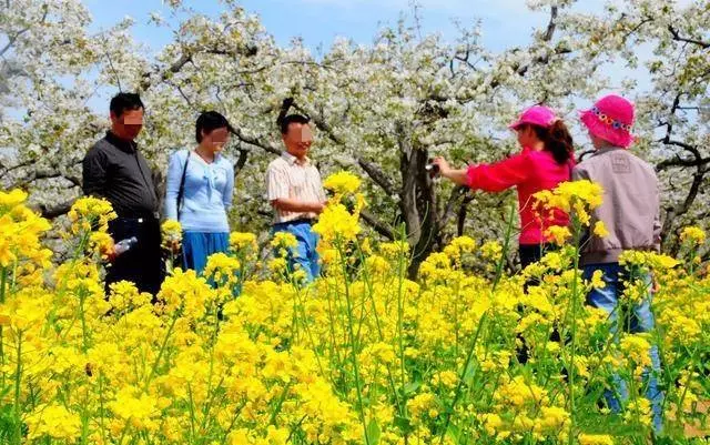 婆婆來養老,下班回家聞到一股香味,推開門後,女子想把房子賣了