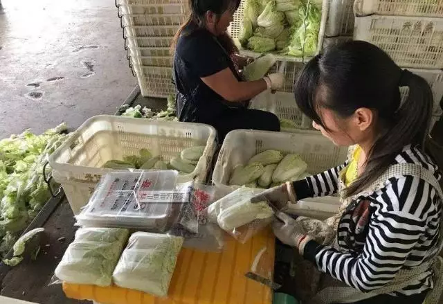 菜販子透露:這3種蔬菜,再便宜也別吃,不僅打了農藥,還可能有「大量甲醛」