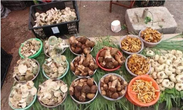 菜販子透露:這3種蔬菜,再便宜也別吃,不僅打了農藥,還可能有「大量甲醛」