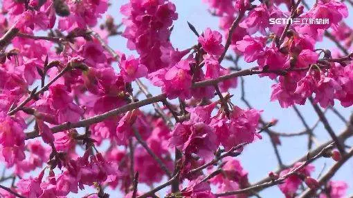 春遊補助來了!各縣市「加碼」一次看