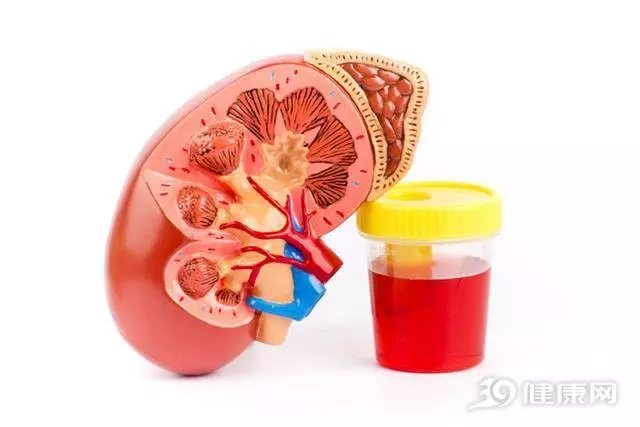 5種水果是腎臟「最愛」!如果你腎不好,請多吃!