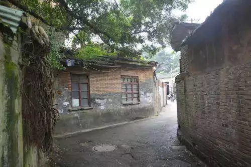 媽媽分家產,哥哥嫂子欺負弟弟,5年後,哥哥嫂子悔青腸子