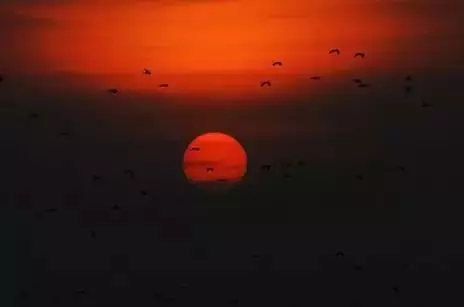 不理,是心靜 不爭,是讓步 不氣,是大度 (深度好文)