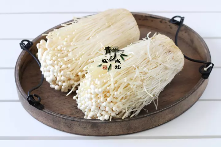 金針菇十分簡單的做法,加1碗料汁,味道尤其鮮美,一次做2斤都不夠吃