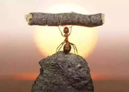 看看你內心究竟有多強大?