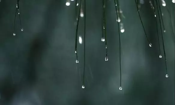 濕氣大、總抑鬱、身上癢都是雨水惹的禍!這樣敲一敲,全身都輕鬆