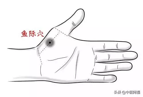 魚際穴——寶寶消化不良的良方