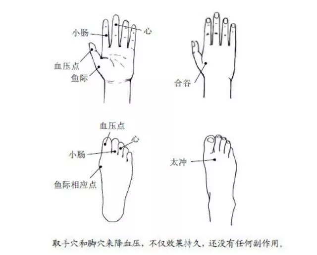 中醫武國忠:推薦人體自帶的治高血壓「好藥」,沒有任何副作用
