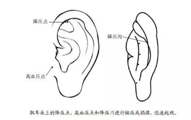中醫武國忠:推薦人體自帶的治高血壓「好藥」,沒有任何副作用