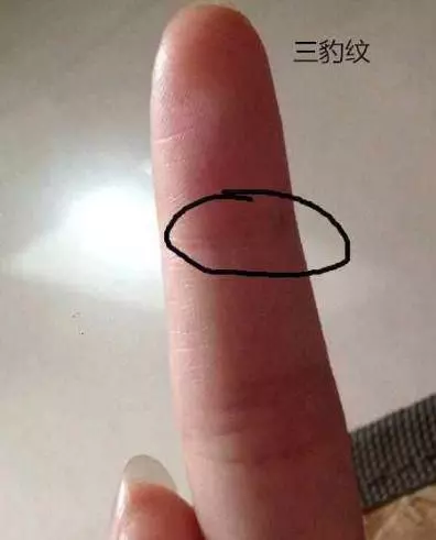 手相看男人財運,天生財運出色的人,有這些手相特徵