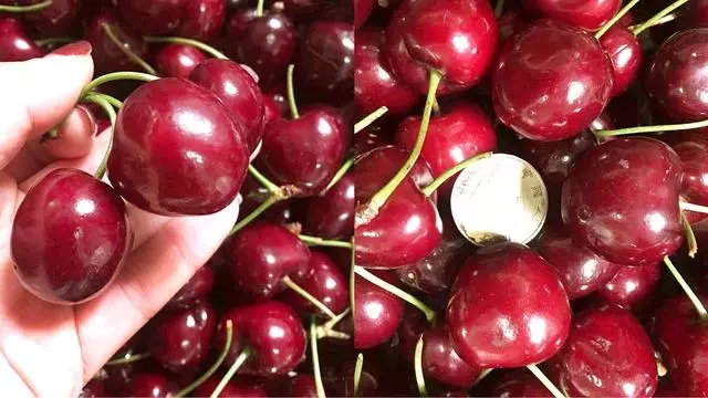 3大水果之爭:鳳梨是菠蘿嗎?美國曾因西紅柿是菜是果打官司