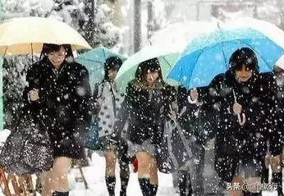 為什麼日本女孩在冬天敢穿裙子,答案是這樣的?可算明白了