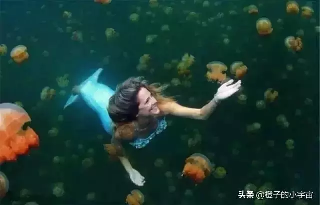 上帝的水族箱,世界七大海底奇觀之首