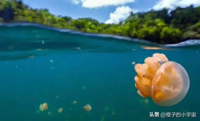 上帝的水族箱,世界七大海底奇觀之首