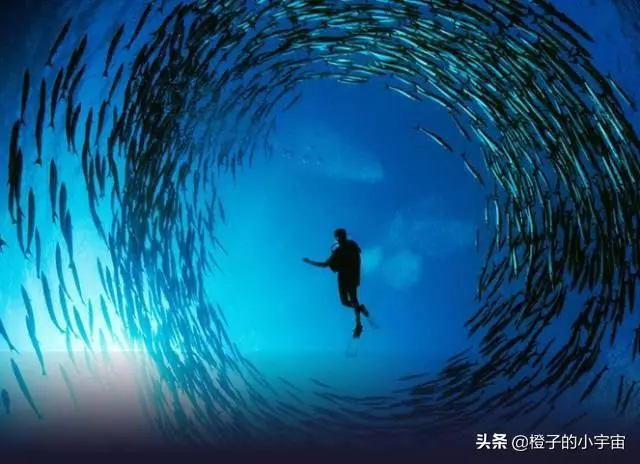 上帝的水族箱,世界七大海底奇觀之首