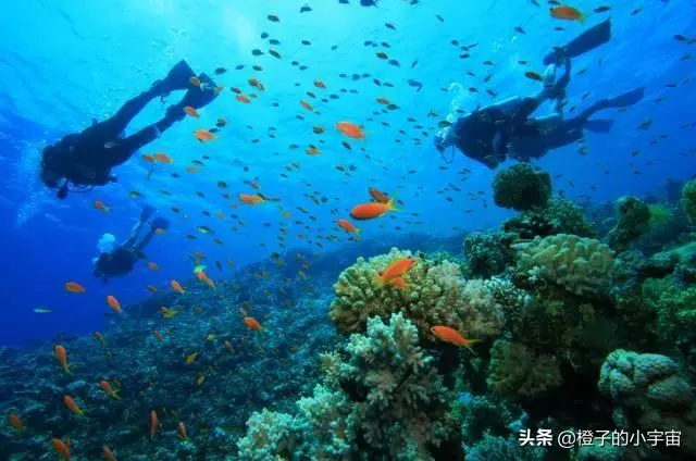 上帝的水族箱,世界七大海底奇觀之首