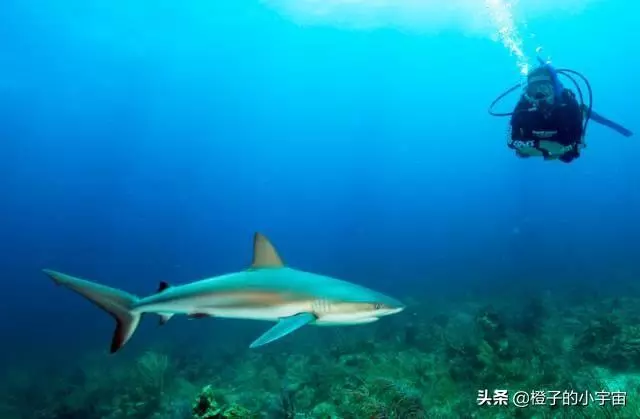 上帝的水族箱,世界七大海底奇觀之首