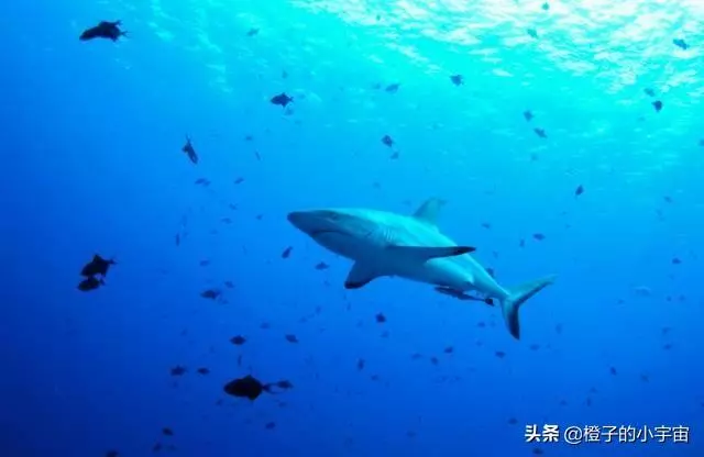 上帝的水族箱,世界七大海底奇觀之首
